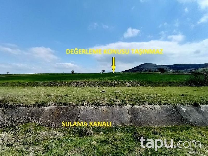 Balıkesir Kepsut Hotaşlar Mahallesi'nde 4100 m2 Tarla (1450)