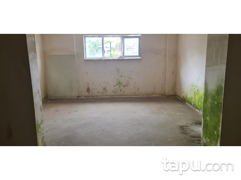 Bolu Merkez Alpağut Mahallesi'nde 113 m2 İskanlı Depo