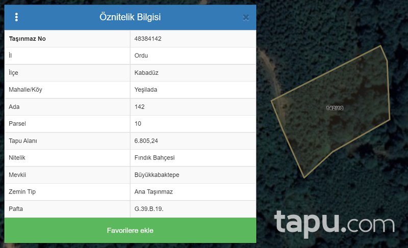 Ordu Kabadüz Yeşilada Mahallesi'nde 6805m2 Fındık Bahçesi
