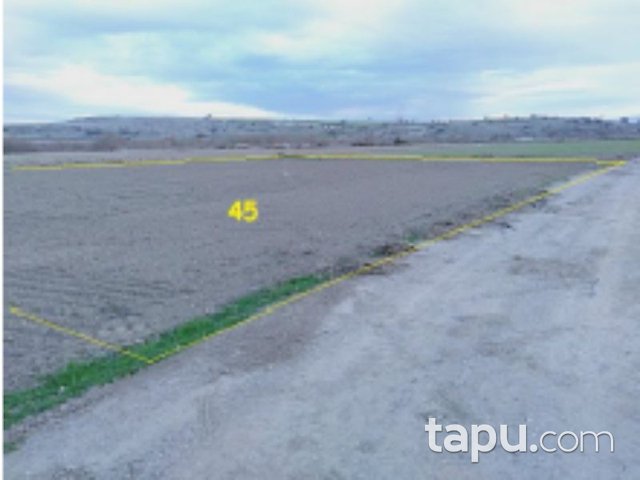 Balıkesir Altıeylül Çandır Mahallesi'nde 12 Adet Tarla