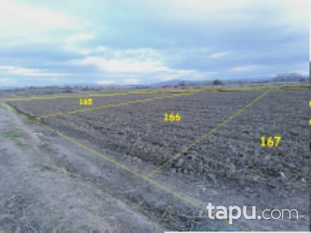 Balıkesir Altıeylül Çandır Mahallesi'nde 12 Adet Tarla