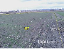 Balıkesir Altıeylül Çandır Mahallesi'nde 12 Adet Tarla