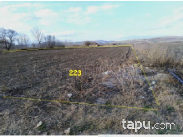 Balıkesir Altıeylül Çandır Mahallesi'nde 12 Adet Tarla