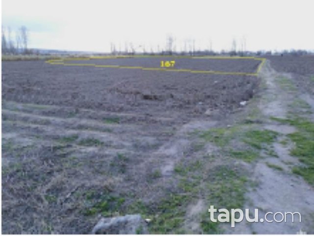 Balıkesir Altıeylül Çandır Mahallesi'nde 12 Adet Tarla