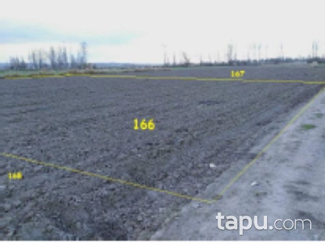 Balıkesir Altıeylül Çandır Mahallesi'nde 12 Adet Tarla