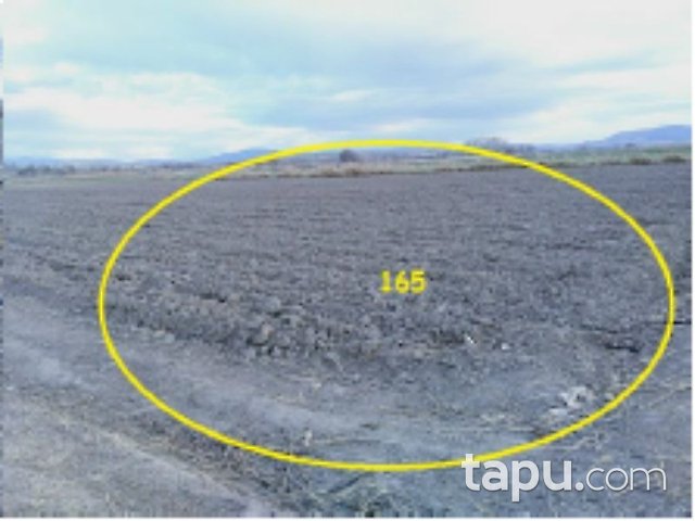 Balıkesir Altıeylül Çandır Mahallesi'nde 12 Adet Tarla