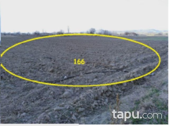 Balıkesir Altıeylül Çandır Mahallesi'nde 12 Adet Tarla