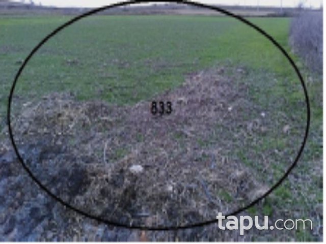 Balıkesir Altıeylül Çandır Mahallesi'nde 12 Adet Tarla