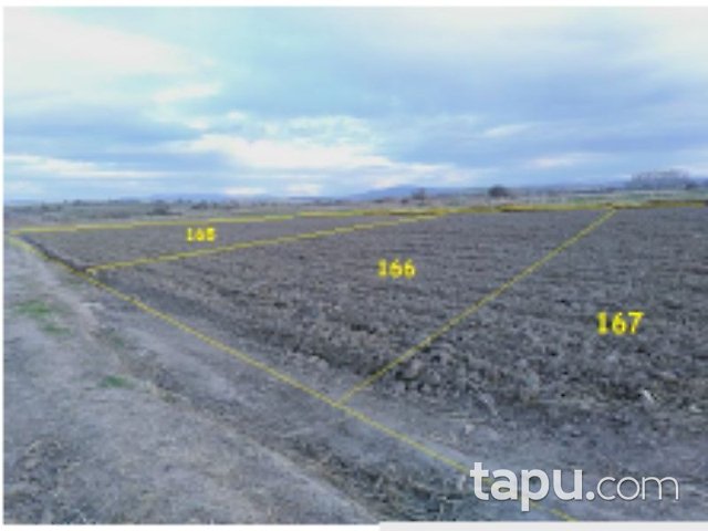 Balıkesir Altıeylül Çandır Mahallesi'nde 12 Adet Tarla