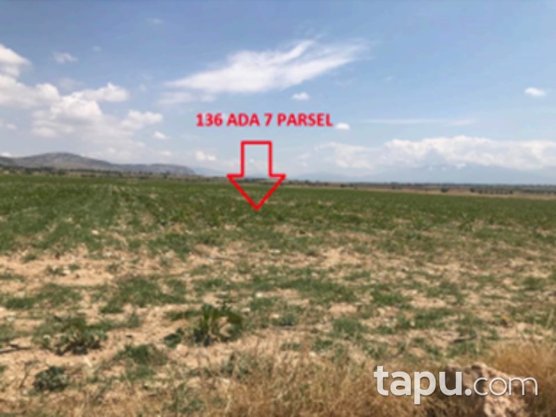 Denizli Çivril İmrallı Mahallesi'nde 11 Dönüm Tarla