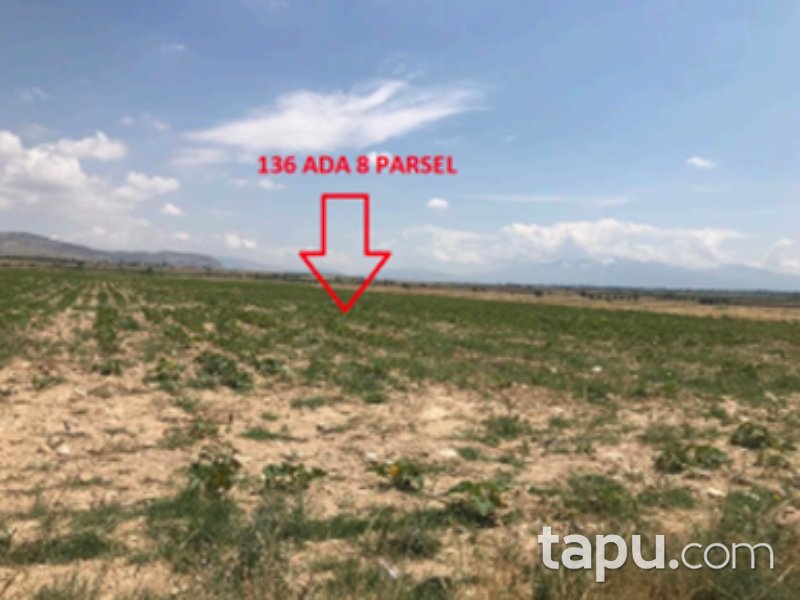 Denizli Çivril İmrallı Mahallesi'nde 11 Dönüm Tarla