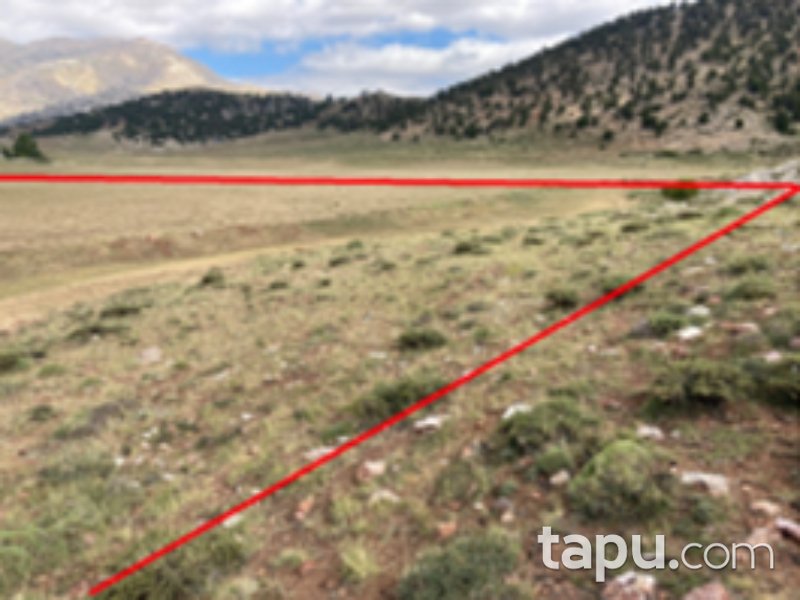 Seydikemer Çamurköy Mahallesi'nde Yatırımlık 32 Dönüm Tarla