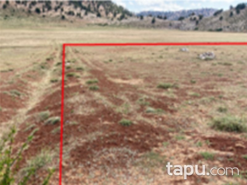 Seydikemer Çamurköy Mahallesi'nde Yatırımlık 32 Dönüm Tarla