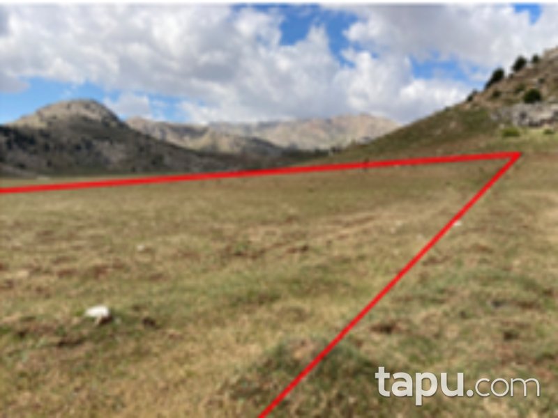 Seydikemer Çamurköy Mahallesi'nde Yatırımlık 32 Dönüm Tarla