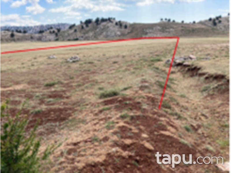 Seydikemer Çamurköy Mahallesi'nde Yatırımlık 32 Dönüm Tarla