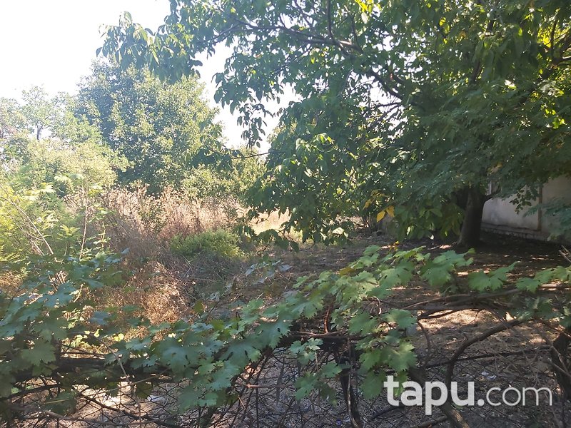 Edirne Merkez Yıldırım Beyazıt Mahallesi'nde 1+1 55 m2 Bahçeli Kargir Ev