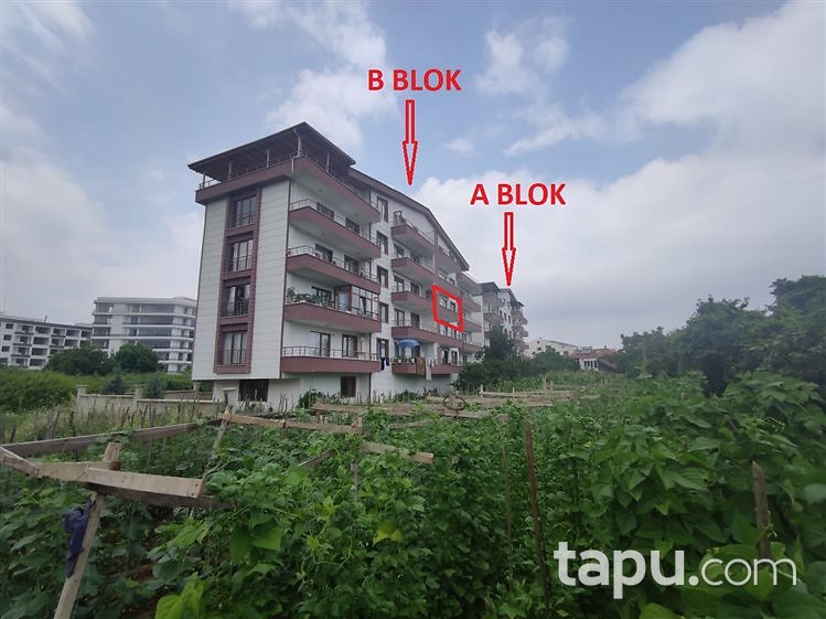 Yalova Çınarcık Karşıyaka Mahallesi'nde 1+1 Daire