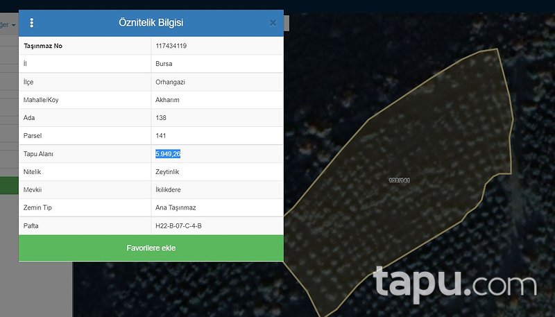 Bursa Orhangazi Akharım Mahallesi'nde 5750 m2 Zeytin Bahçesi
