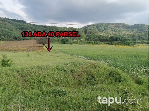 Çankırı Yapraklı Bademçay Mahallesi'nde Yola Cepheli Tarıma Elverişli 1051 m2 Tarla