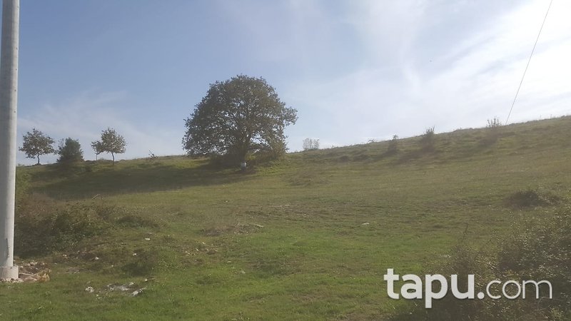 Kandıra Duraçali'de Bağırganlı Liman Yoluna Cepheli Arazi