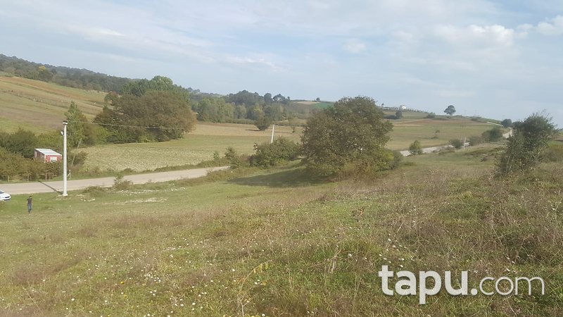 Kandıra Duraçali'de Bağırganlı Liman Yoluna Cepheli Arazi