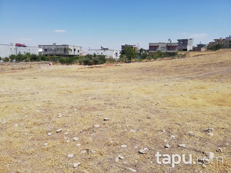 Siirt Kurtalan'da 928 m2 Konut İmarlı Arsa
