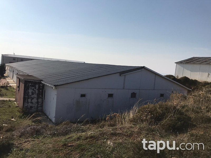 Armutlu'da Deniz Manzaralı Tepe Konumlu Ticaret İmarlı Arsa Yatırımı