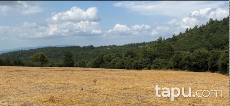 Çanakkale Yenice'de Tarım ve Hayvancılığa Uygun 20 Dönüm Tarla