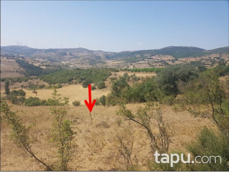 Balıkesir Kepsut'ta 8 Dönüm Tarla