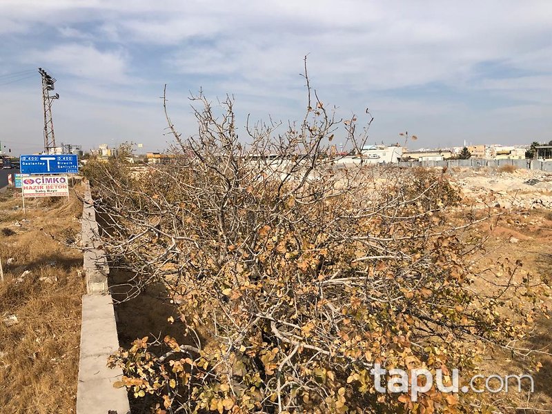 Gaziantep Nizip İstasyon Mahallesi'nde 4960 m2 Arsa