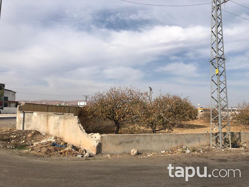 Gaziantep Nizip İstasyon Mahallesi'nde 4960 m2 Arsa