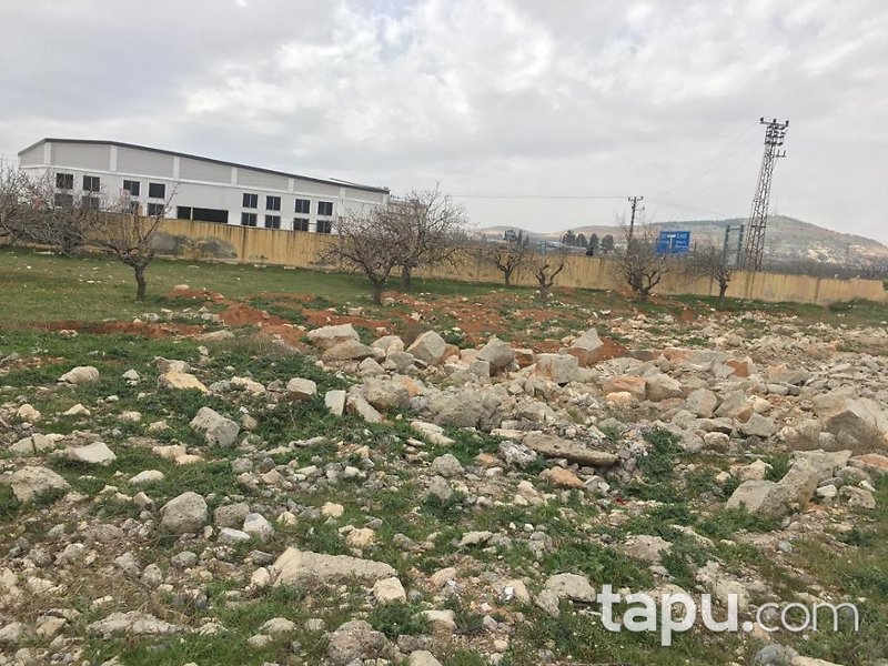 Gaziantep Nizip İstasyon Mahallesi'nde 4960 m2 Arsa