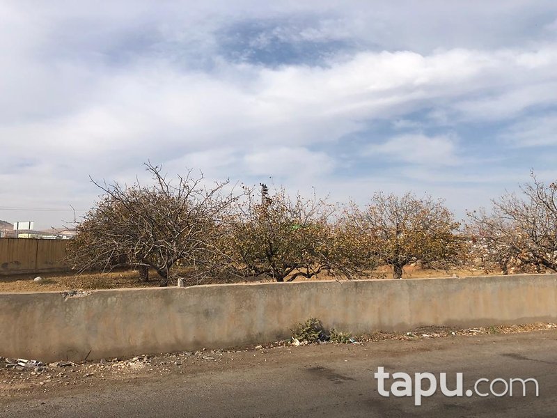 Gaziantep Nizip İstasyon Mahallesi'nde 4960 m2 Arsa