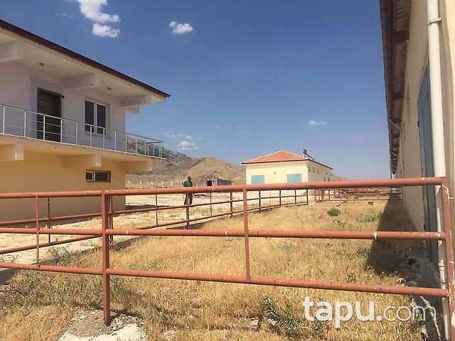 Elazığ Merkez Sedeftepe Mahallesi'nde Bina ve 10 Dönüm Arazi