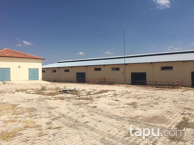 Elazığ Merkez Sedeftepe Mahallesi'nde Bina ve 10 Dönüm Arazi