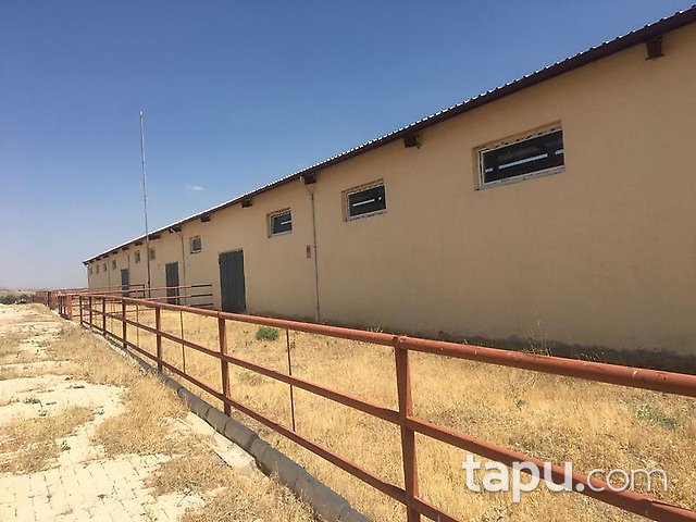 Elazığ Merkez Sedeftepe Mahallesi'nde Bina ve 10 Dönüm Arazi