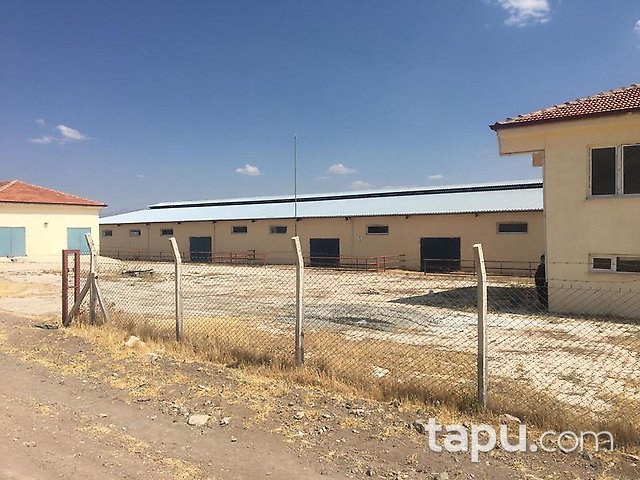 Elazığ Merkez Sedeftepe Mahallesi'nde Bina ve 10 Dönüm Arazi