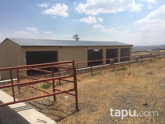 Elazığ Merkez Sedeftepe Mahallesi'nde Bina ve 10 Dönüm Arazi