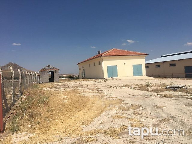 Elazığ Merkez Sedeftepe Mahallesi'nde Bina ve 10 Dönüm Arazi
