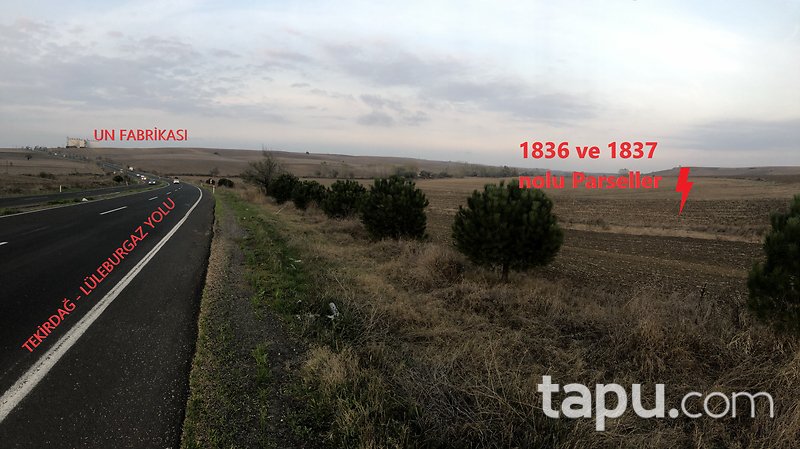 Tekirdağ Muratlı'da 9.300 m2 Satılık Tarla