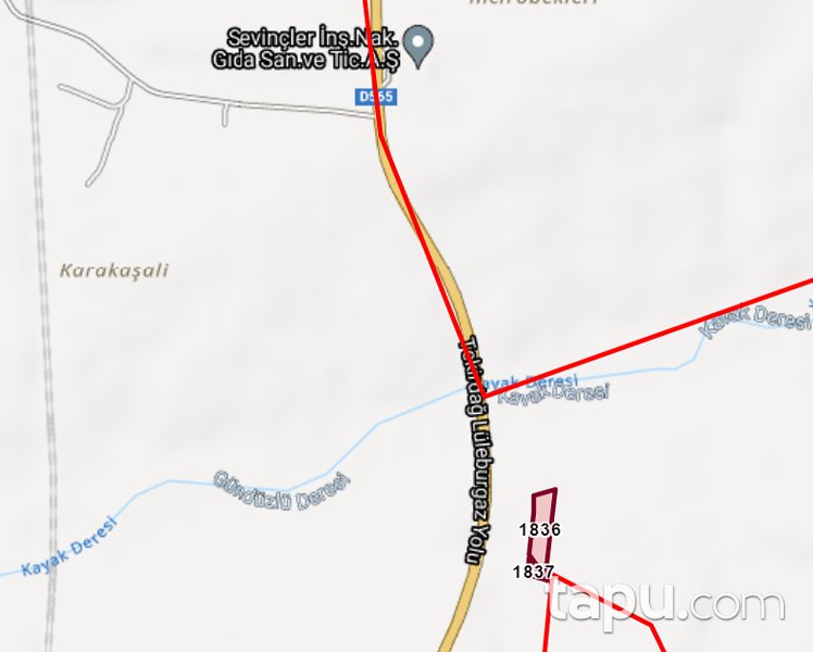 Tekirdağ Muratlı'da 9.300 m2 Satılık Tarla