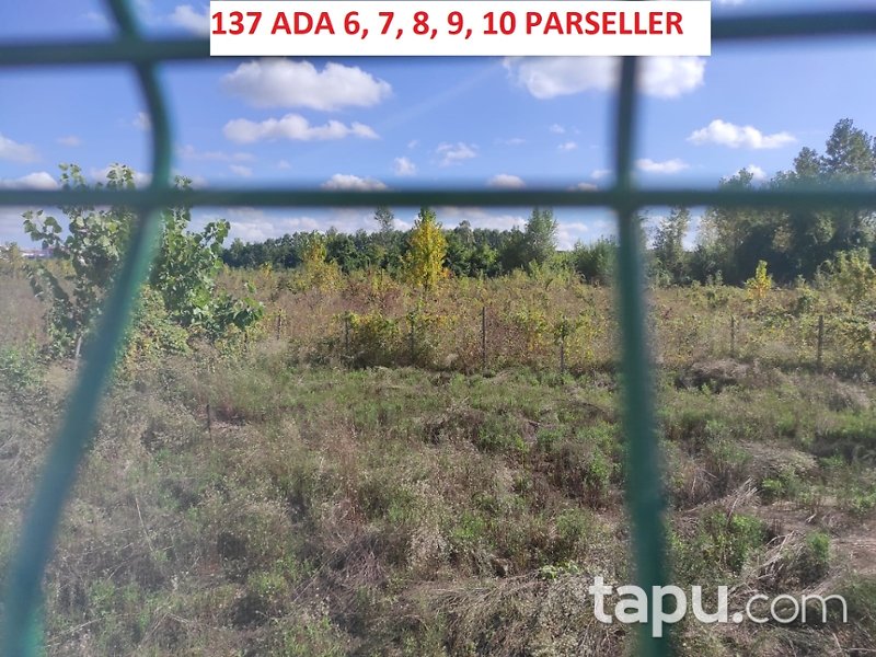 Samsun Çarşamba Kirazbucağı Mahallesi'nde 540 m2 Konut İmarlı Arsa