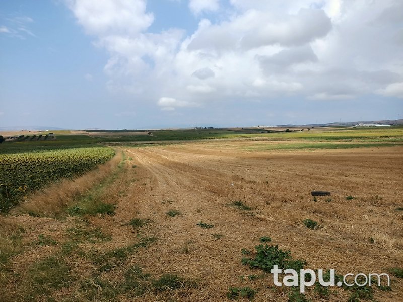 Balıkesir Bandırma Erikli Mahallesi'nde 7 Dönüm Tarla