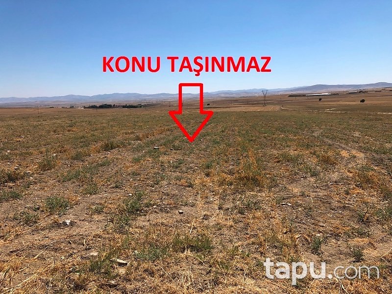 Kırşehir Boztepe Uzunpınar Mahallesi'nde 7691 m2 Tarla