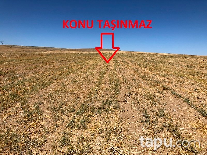 Kırşehir Boztepe Uzunpınar Mahallesi'nde 7691 m2 Tarla