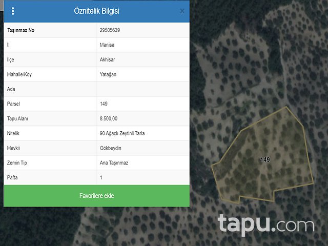 Manisa Akhisar Yatağan Mahallesi'nde 8500 m2 90 Ağaçlı Zeytinli Tarla
