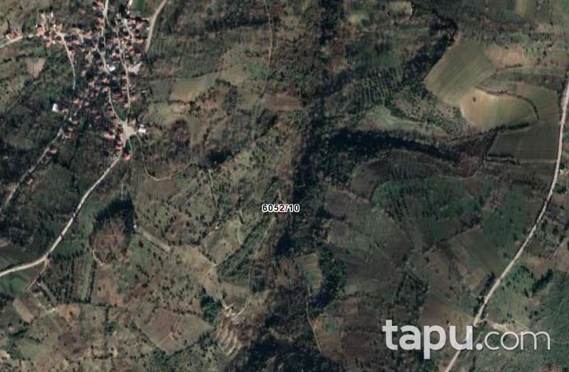 Yola Cepheli ve Yerleşim Alanına Yakın Tarla