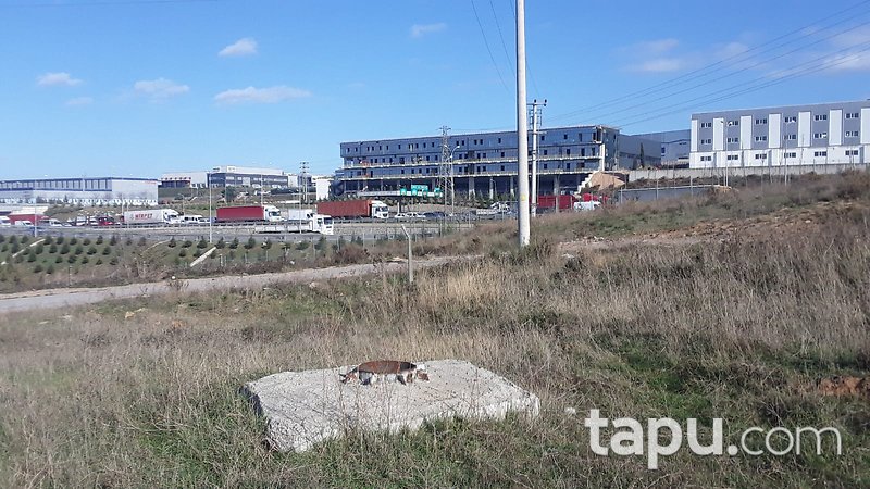 Şekerpınar Gebze Yolu'na 80 Metre Mesafede Tabela Değeri Yüksek Ticari İmarlı Arsa