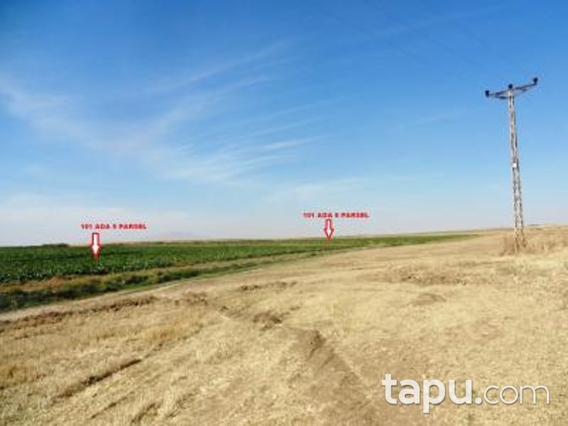 Konya Yunak Kuyubaşı'nda 34 Dönüm Tarla