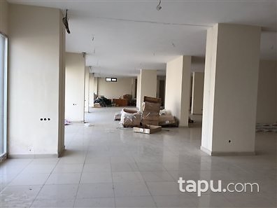 Yalova Armutlu Modern Evlerin'de Bakımlı Ve Cadde Cepheli Dükkan Fırsatı